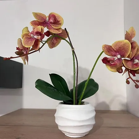 Maison Moderna-8 Personnes-wifi-centre פונטנה-לה-קומט