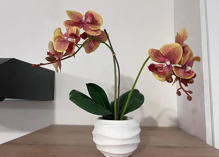 Maison Moderna-8 Personnes-wifi-centre Fontenay-le-Comte